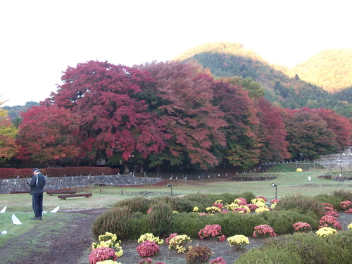 f0304030_10274877.jpg