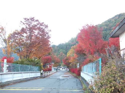 f0304030_1038318.jpg