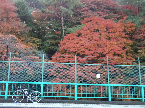 f0304030_1038369.jpg