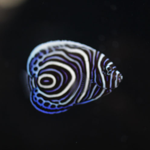 d0221436_20365143.jpg