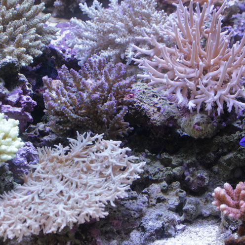 d0221436_20454666.jpg