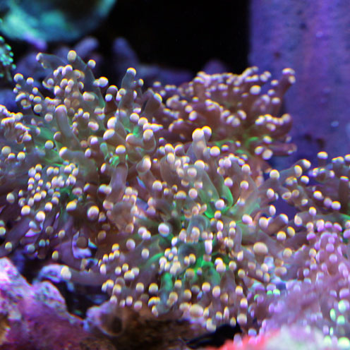 d0221436_20464494.jpg