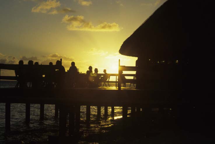 b0042837_21314545.jpg