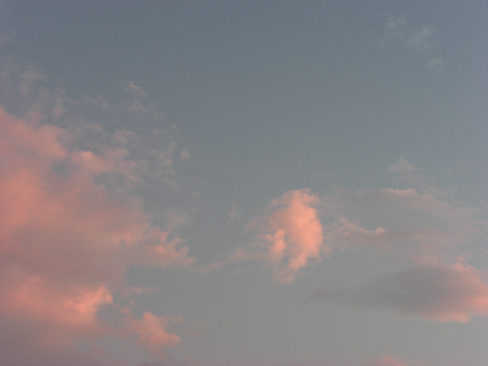 a0163738_12241517.jpg