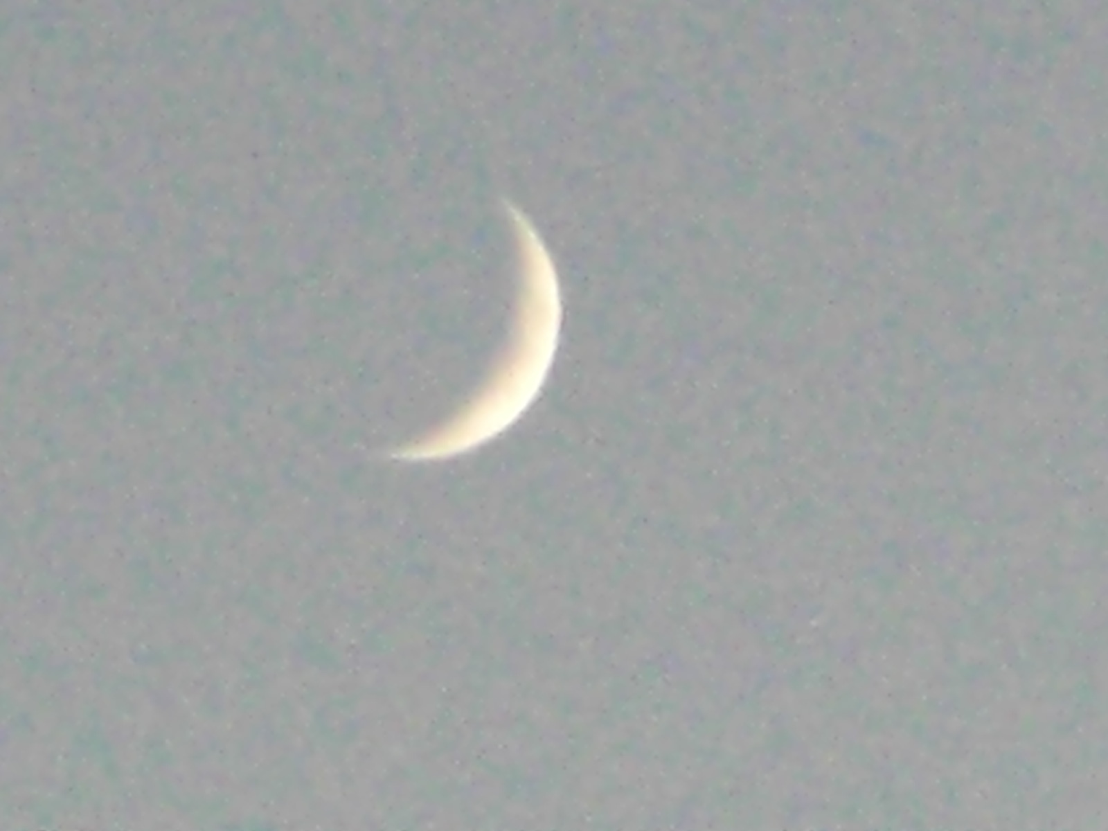 a0163738_12253823.jpg