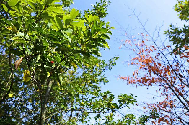 a0242438_2111592.jpg