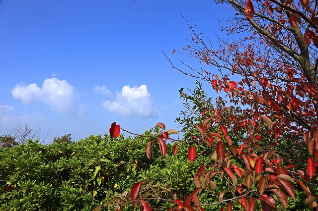 a0242438_21135531.jpg