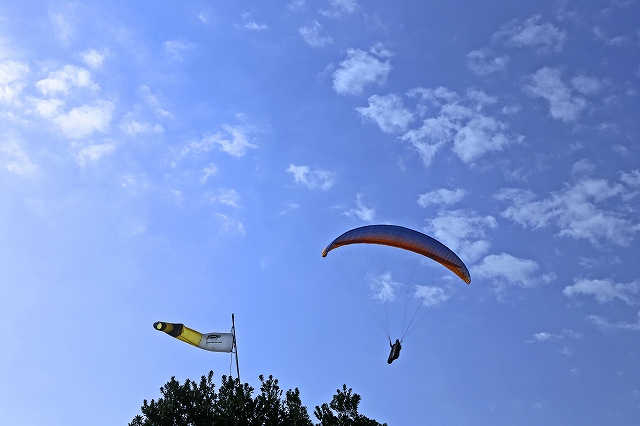 a0242438_21144210.jpg