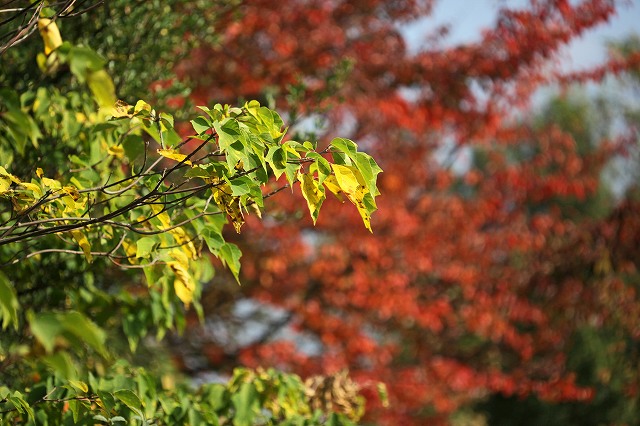 a0242438_21151937.jpg
