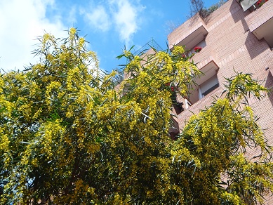 e0238838_9373223.jpg