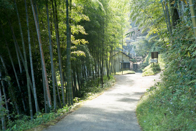 d0139939_14542583.jpg