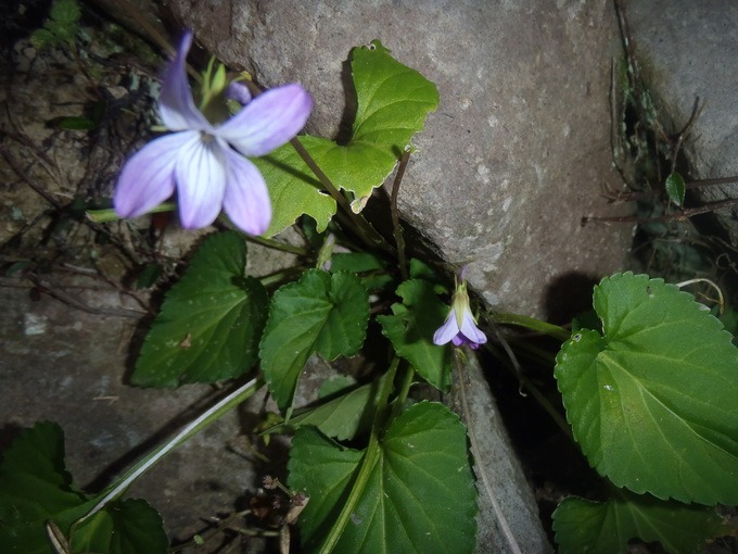 a0054240_0304748.jpg