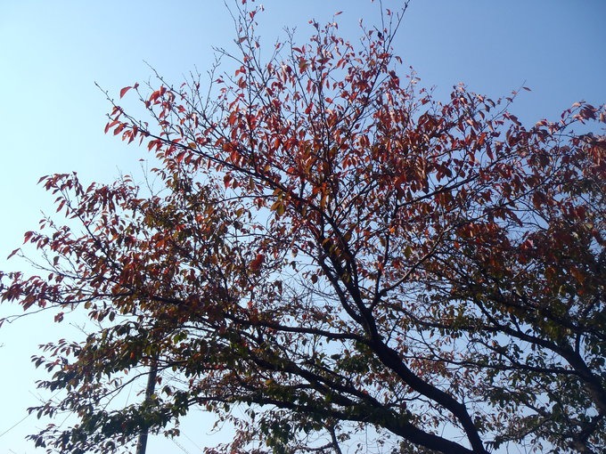a0054240_0451433.jpg