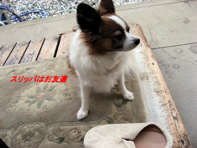 a0149240_1025478.jpg
