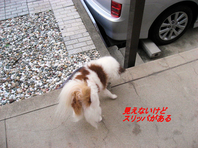 a0149240_10373414.jpg