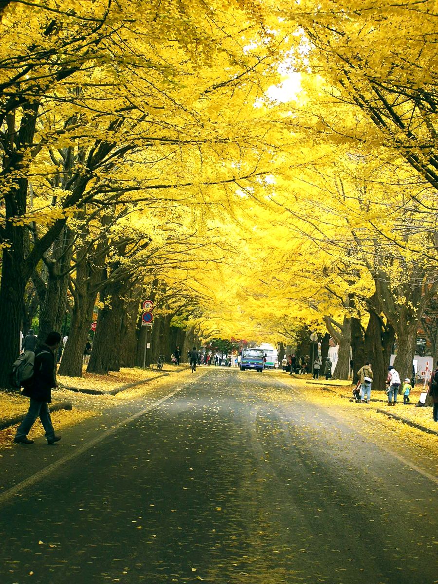 c0254440_22332476.jpg