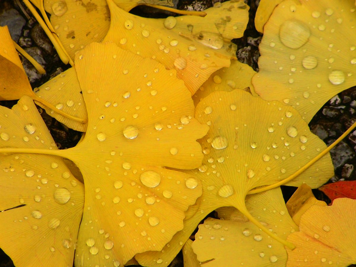 c0254440_22345411.jpg