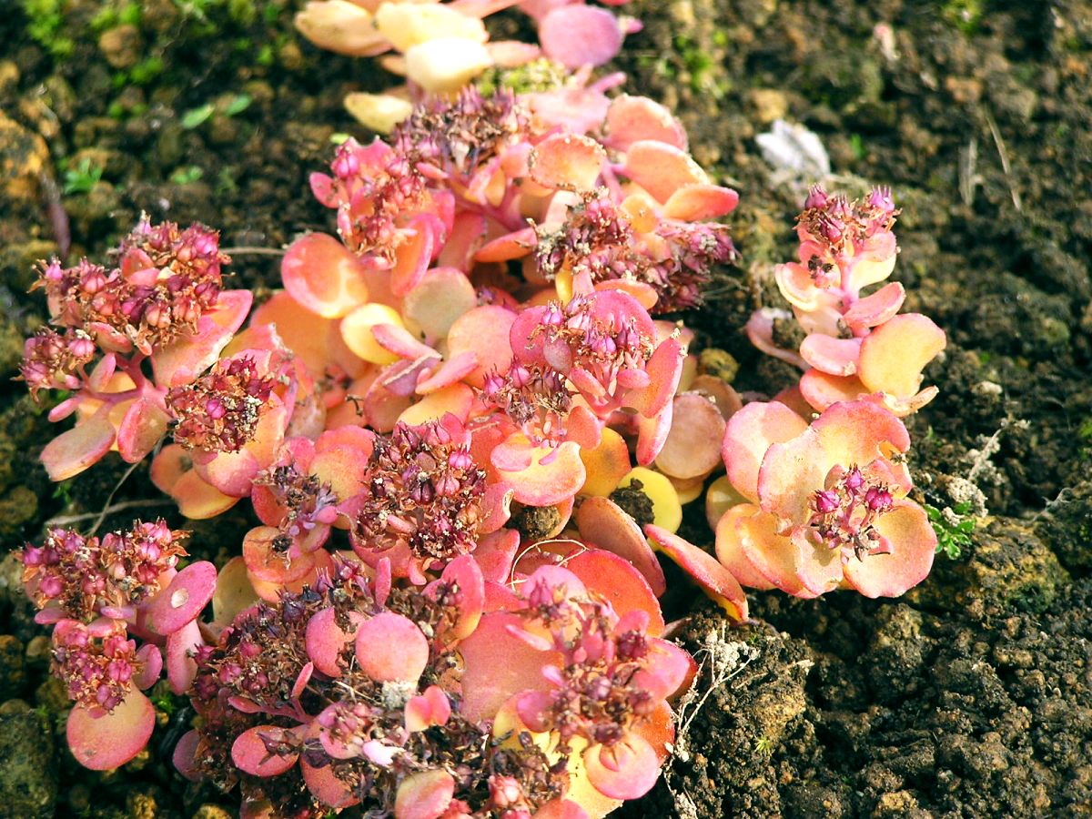 c0254440_228196.jpg