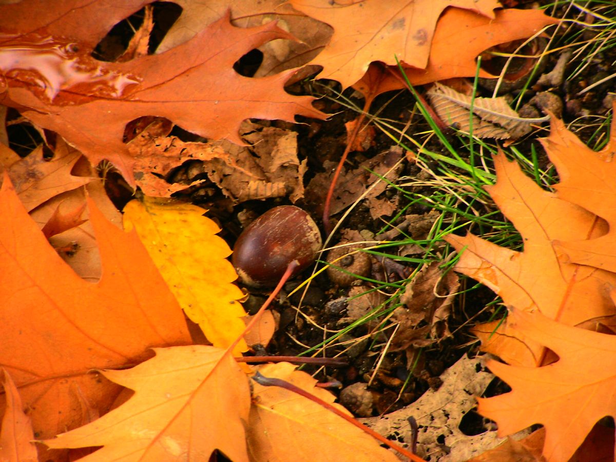 c0254440_23183336.jpg
