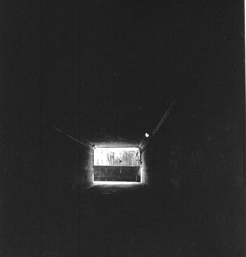 e0136745_1619309.jpg