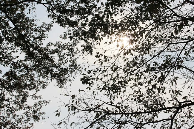 a0307547_20514785.jpg