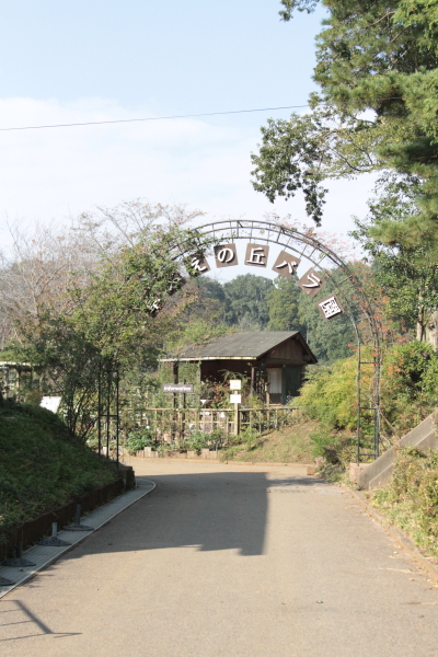a0258549_8351569.jpg