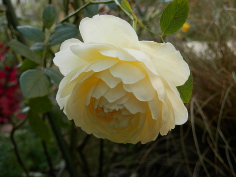 e0288951_14212490.jpg