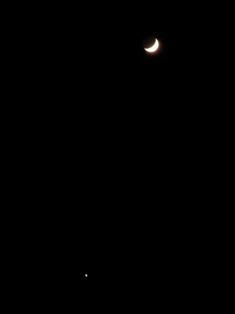 e0288951_1423281.jpg