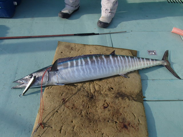 a0248152_18235230.jpg