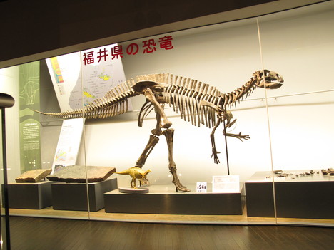 d0226259_14453326.jpg