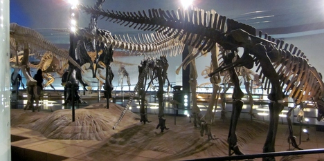 d0226259_1448281.jpg