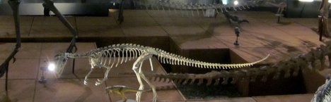 d0226259_14495252.jpg