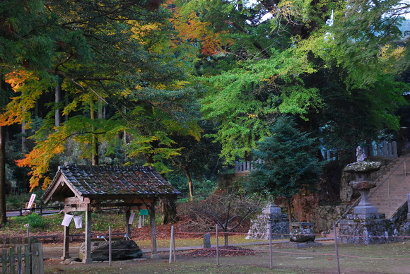 e0208965_2045287.jpg