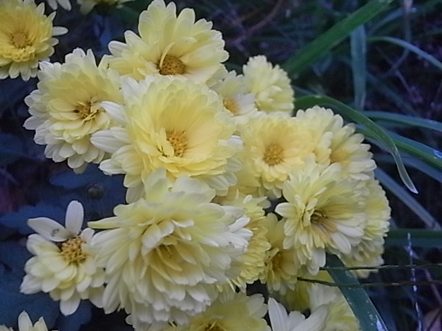 a0146070_613523.jpg
