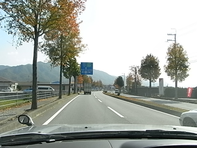 a0146070_621959.jpg