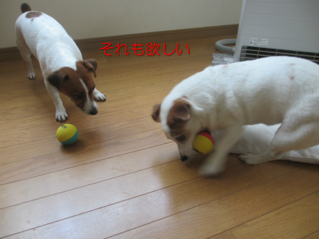 e0106372_12273989.jpg