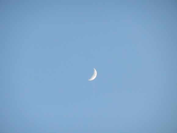 e0292172_20104575.jpg