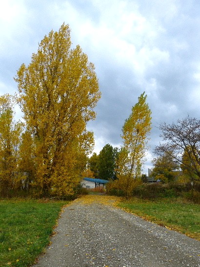 d0084473_21415587.jpg