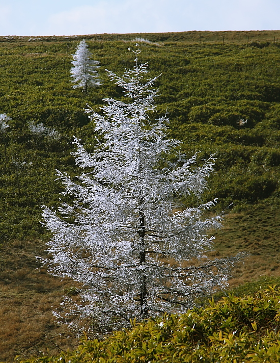 e0249878_22204437.jpg