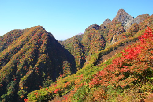 b0286982_10235447.jpg