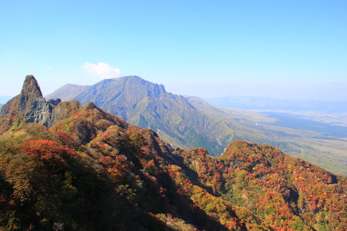 b0286982_1182074.jpg