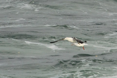 e0197884_0201116.jpg