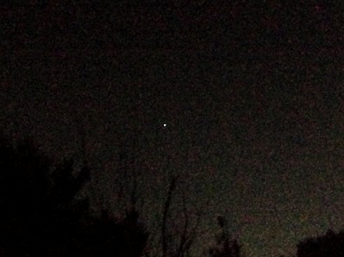 c0014187_11275.jpg