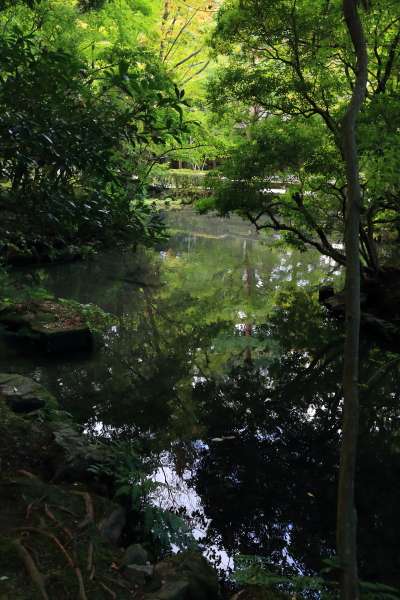 e0051888_452373.jpg