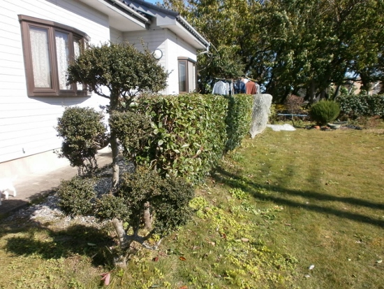 d0000995_21453894.jpg