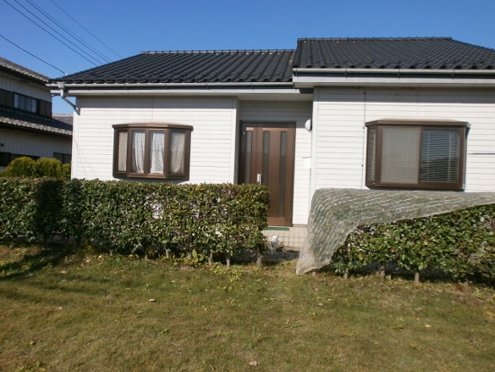 d0000995_214626100.jpg