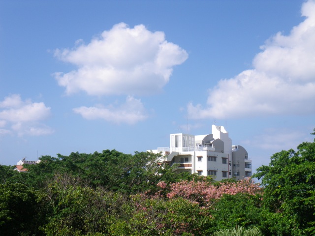 c0193396_1356196.jpg