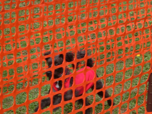 d0262797_19284150.jpg