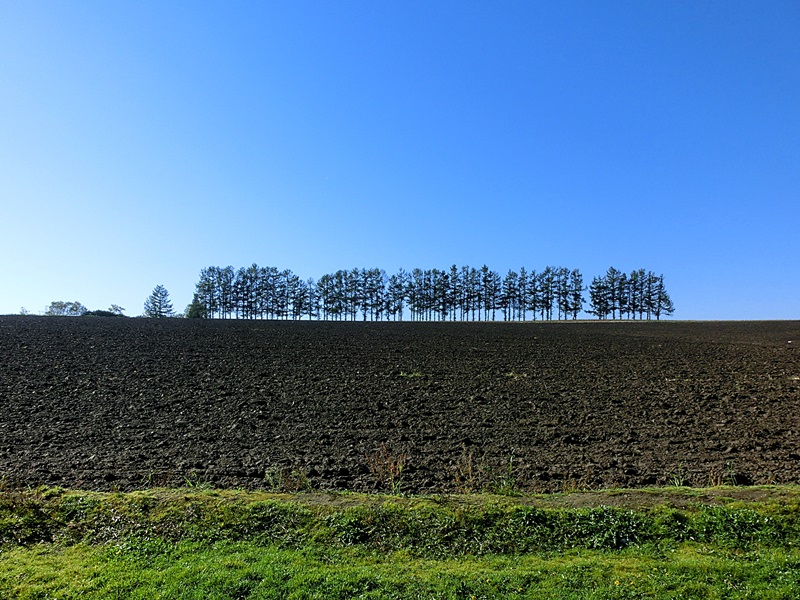 e0190698_11122352.jpg