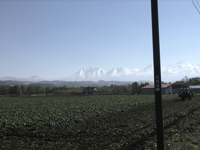 e0190698_1126431.jpg